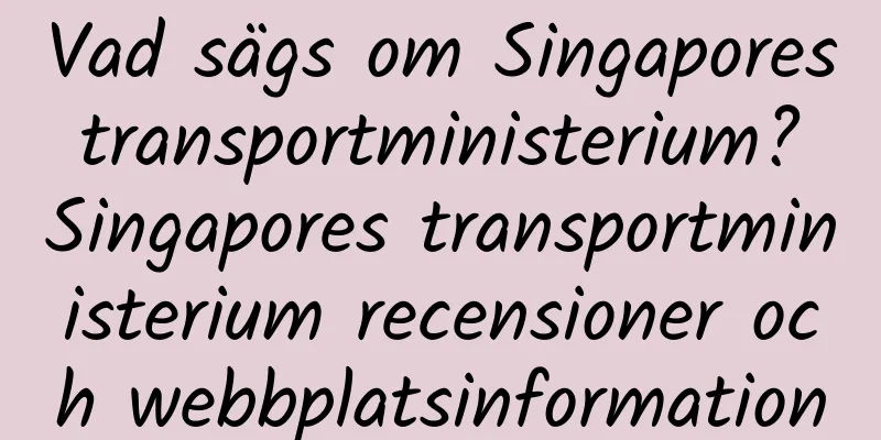 Vad sägs om Singapores transportministerium? Singapores transportministerium recensioner och webbplatsinformation