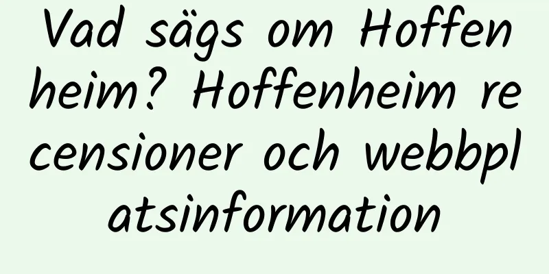 Vad sägs om Hoffenheim? Hoffenheim recensioner och webbplatsinformation