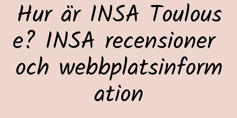 Hur är INSA Toulouse? INSA recensioner och webbplatsinformation