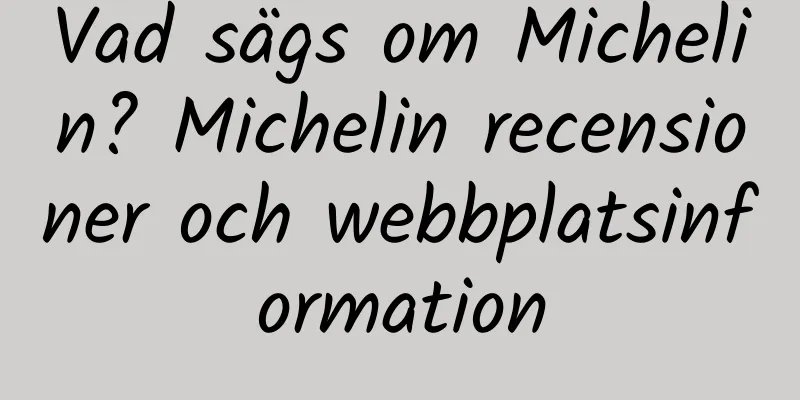 Vad sägs om Michelin? Michelin recensioner och webbplatsinformation
