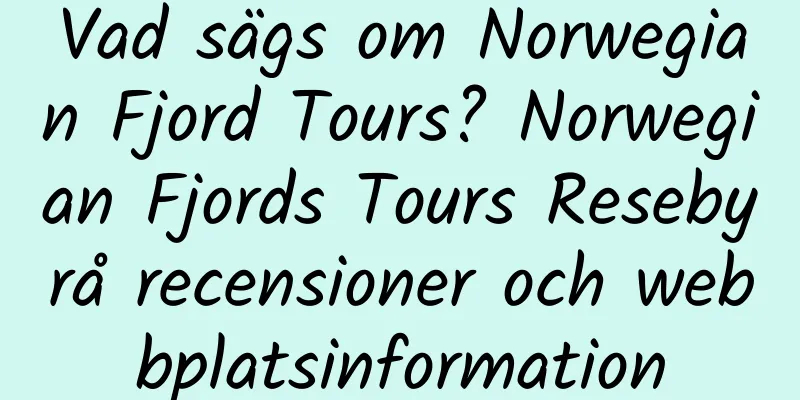 Vad sägs om Norwegian Fjord Tours? Norwegian Fjords Tours Resebyrå recensioner och webbplatsinformation