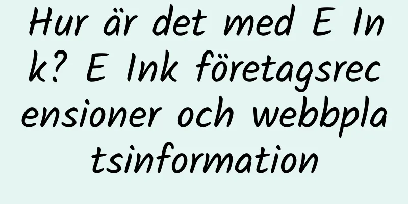 Hur är det med E Ink? E Ink företagsrecensioner och webbplatsinformation