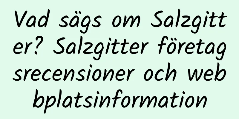 Vad sägs om Salzgitter? Salzgitter företagsrecensioner och webbplatsinformation