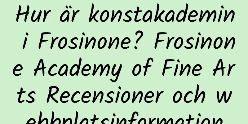 Hur är konstakademin i Frosinone? Frosinone Academy of Fine Arts Recensioner och webbplatsinformation