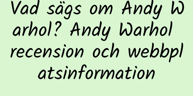 Vad sägs om Andy Warhol? Andy Warhol recension och webbplatsinformation