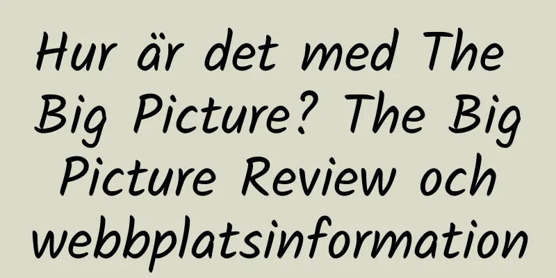 Hur är det med The Big Picture? The Big Picture Review och webbplatsinformation