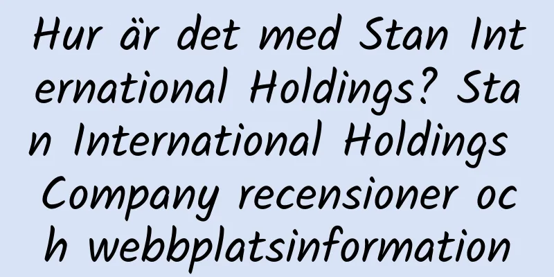 Hur är det med Stan International Holdings? Stan International Holdings Company recensioner och webbplatsinformation