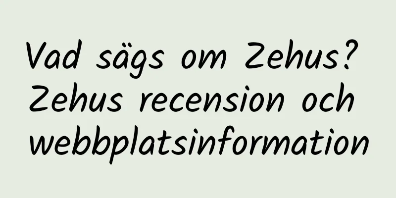 Vad sägs om Zehus? Zehus recension och webbplatsinformation