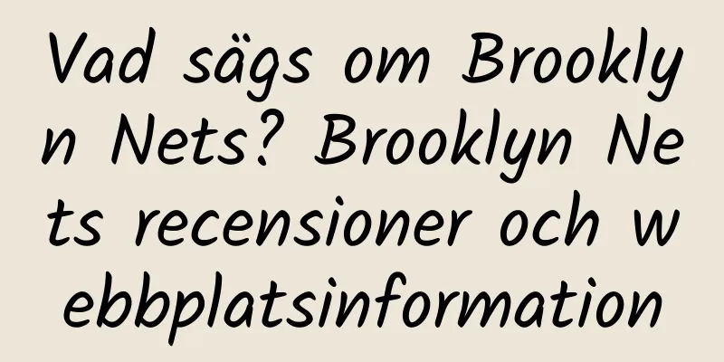 Vad sägs om Brooklyn Nets? Brooklyn Nets recensioner och webbplatsinformation