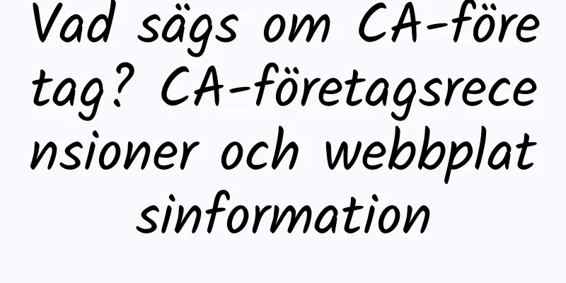 Vad sägs om CA-företag? CA-företagsrecensioner och webbplatsinformation