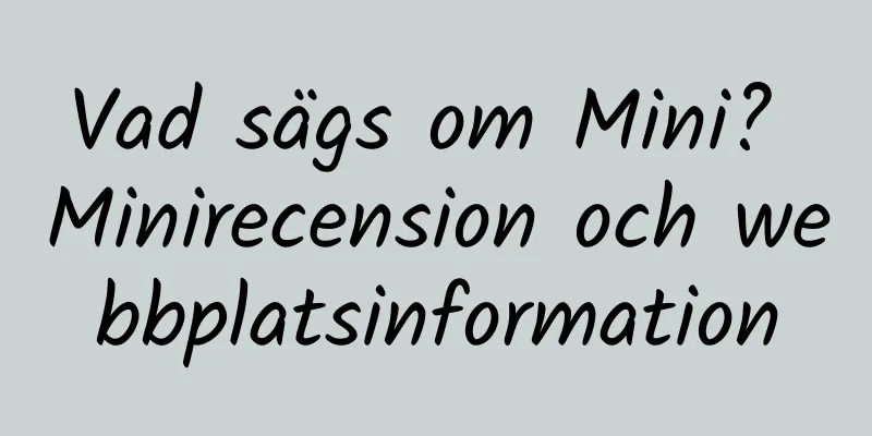 Vad sägs om Mini? Minirecension och webbplatsinformation