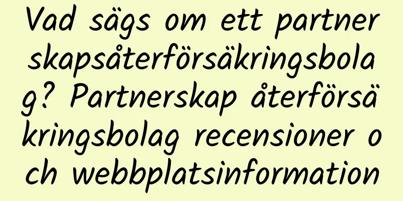Vad sägs om ett partnerskapsåterförsäkringsbolag? Partnerskap återförsäkringsbolag recensioner och webbplatsinformation