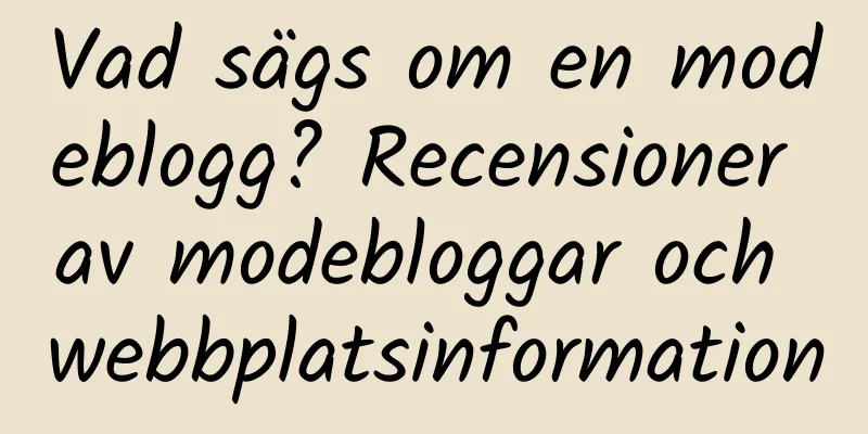 Vad sägs om en modeblogg? Recensioner av modebloggar och webbplatsinformation