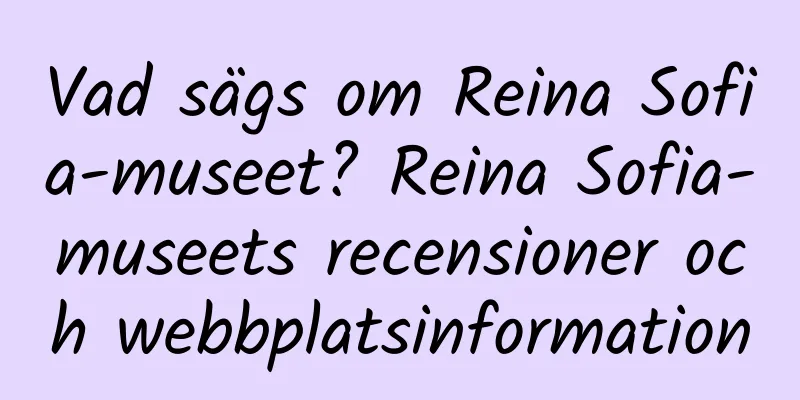 Vad sägs om Reina Sofia-museet? Reina Sofia-museets recensioner och webbplatsinformation