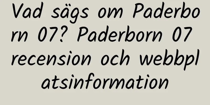 Vad sägs om Paderborn 07? Paderborn 07 recension och webbplatsinformation
