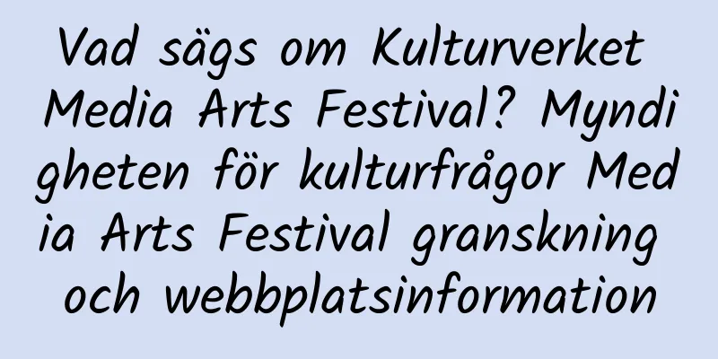 Vad sägs om Kulturverket Media Arts Festival? Myndigheten för kulturfrågor Media Arts Festival granskning och webbplatsinformation