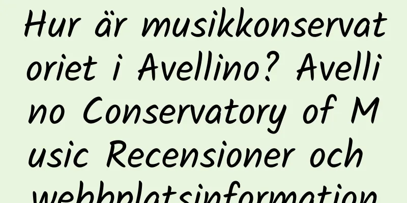Hur är musikkonservatoriet i Avellino? Avellino Conservatory of Music Recensioner och webbplatsinformation