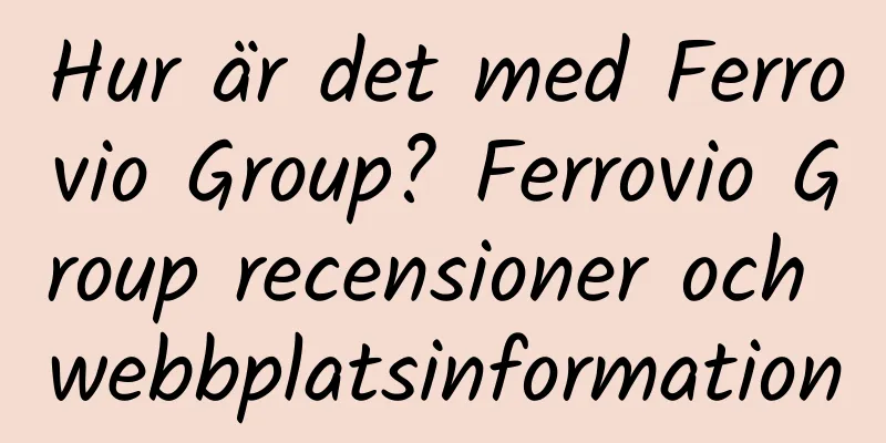 Hur är det med Ferrovio Group? Ferrovio Group recensioner och webbplatsinformation