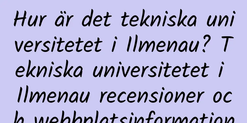 Hur är det tekniska universitetet i Ilmenau? Tekniska universitetet i Ilmenau recensioner och webbplatsinformation