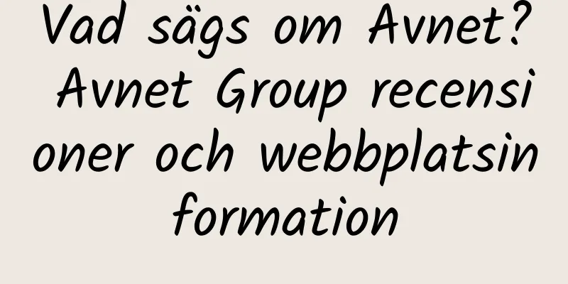 Vad sägs om Avnet? Avnet Group recensioner och webbplatsinformation