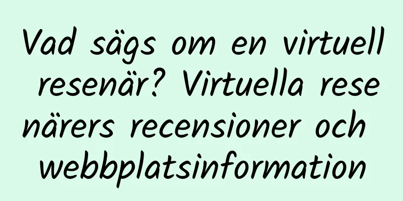 Vad sägs om en virtuell resenär? Virtuella resenärers recensioner och webbplatsinformation