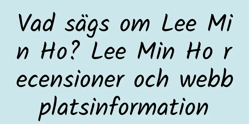 Vad sägs om Lee Min Ho? Lee Min Ho recensioner och webbplatsinformation