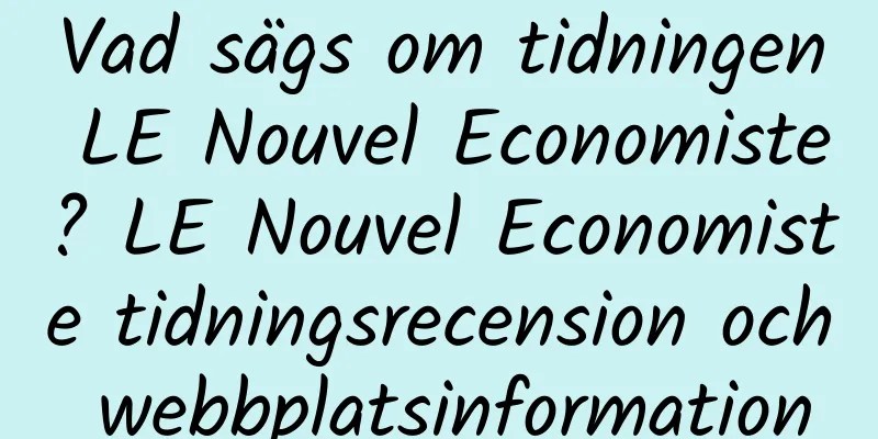 Vad sägs om tidningen LE Nouvel Economiste? LE Nouvel Economiste tidningsrecension och webbplatsinformation