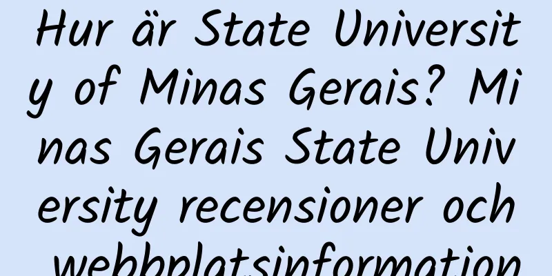 Hur är State University of Minas Gerais? Minas Gerais State University recensioner och webbplatsinformation