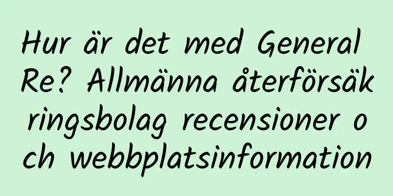 Hur är det med General Re? Allmänna återförsäkringsbolag recensioner och webbplatsinformation