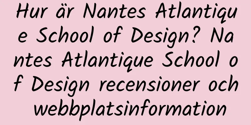 Hur är Nantes Atlantique School of Design? Nantes Atlantique School of Design recensioner och webbplatsinformation