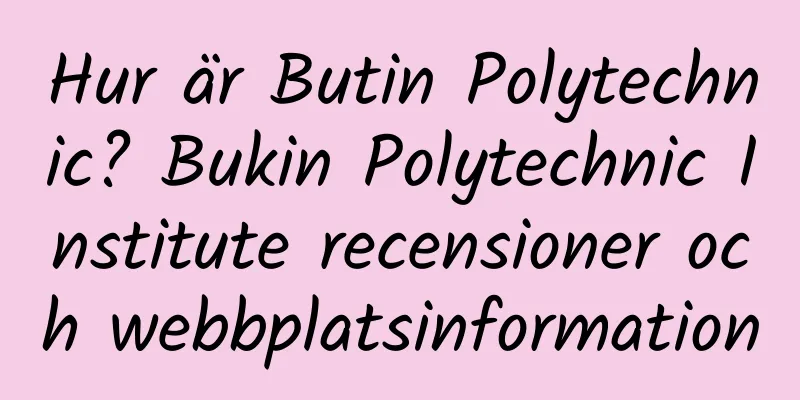 Hur är Butin Polytechnic? Bukin Polytechnic Institute recensioner och webbplatsinformation