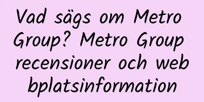 Vad sägs om Metro Group? Metro Group recensioner och webbplatsinformation