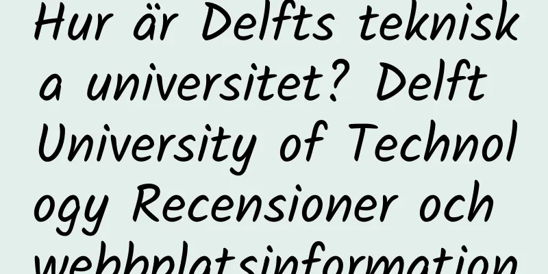 Hur är Delfts tekniska universitet? Delft University of Technology Recensioner och webbplatsinformation