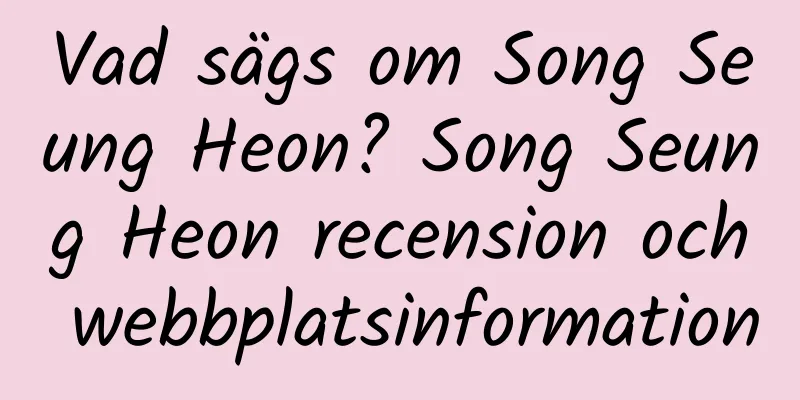 Vad sägs om Song Seung Heon? Song Seung Heon recension och webbplatsinformation