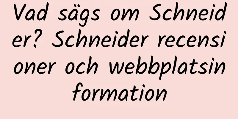 Vad sägs om Schneider? Schneider recensioner och webbplatsinformation