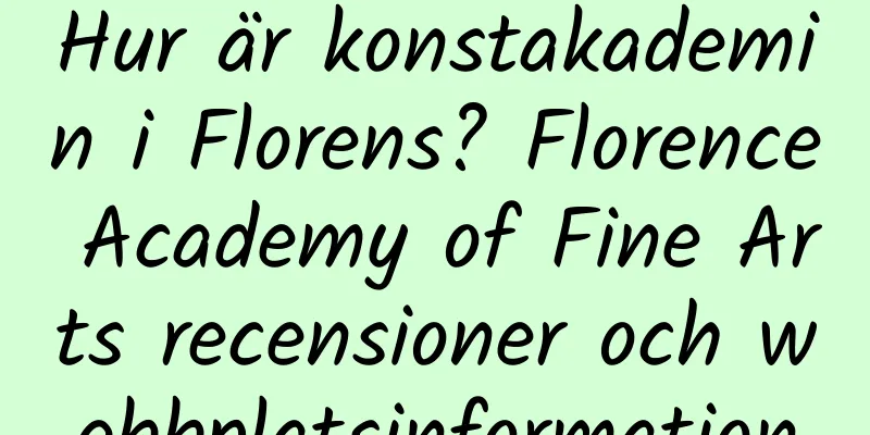 Hur är konstakademin i Florens? Florence Academy of Fine Arts recensioner och webbplatsinformation