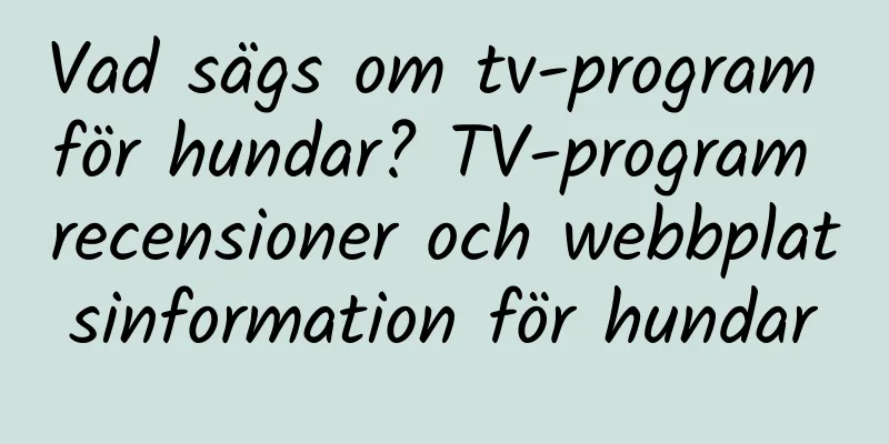 Vad sägs om tv-program för hundar? TV-program recensioner och webbplatsinformation för hundar