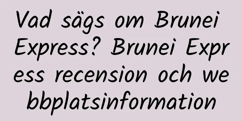 Vad sägs om Brunei Express? Brunei Express recension och webbplatsinformation