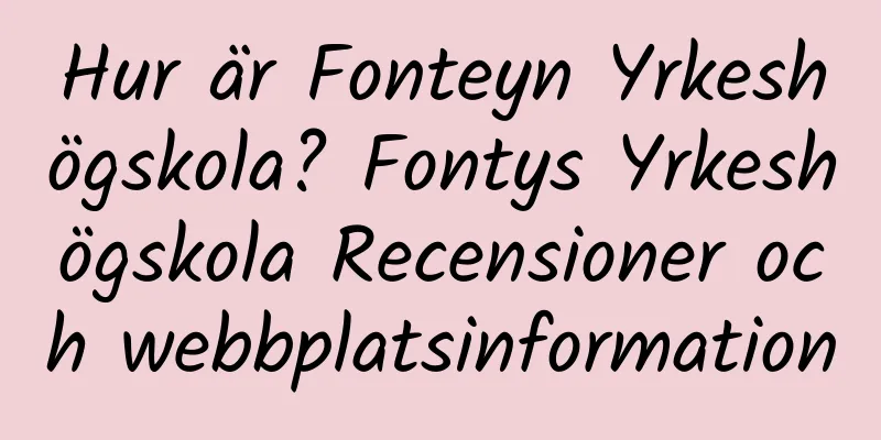 Hur är Fonteyn Yrkeshögskola? Fontys Yrkeshögskola Recensioner och webbplatsinformation