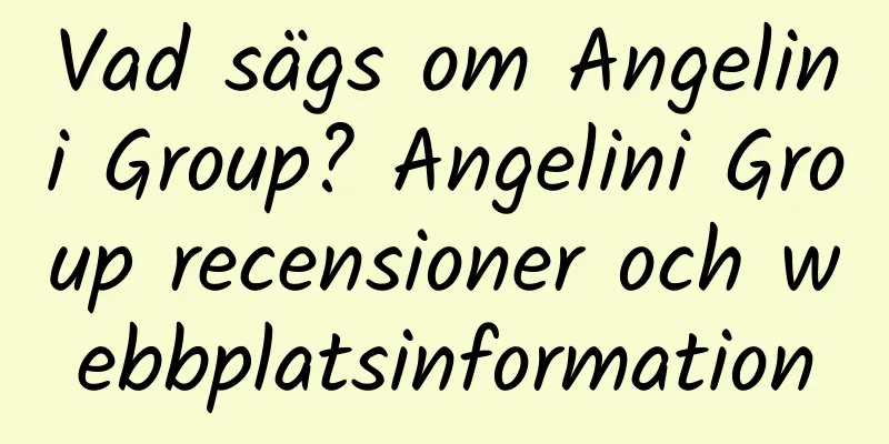 Vad sägs om Angelini Group? Angelini Group recensioner och webbplatsinformation