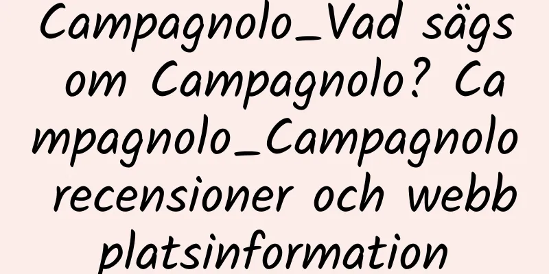 Campagnolo_Vad sägs om Campagnolo? Campagnolo_Campagnolo recensioner och webbplatsinformation