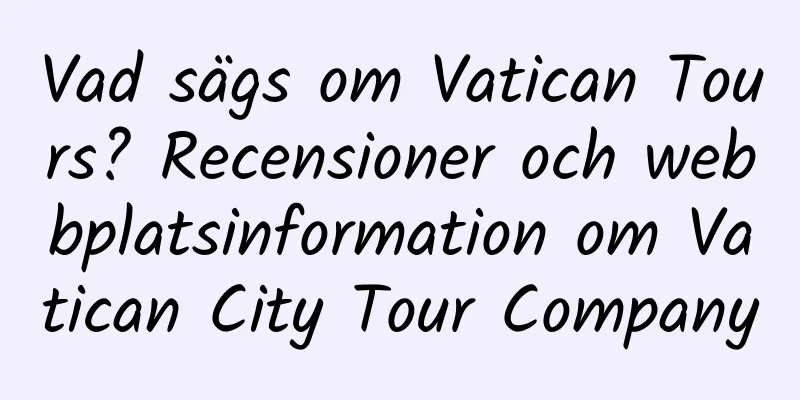 Vad sägs om Vatican Tours? Recensioner och webbplatsinformation om Vatican City Tour Company