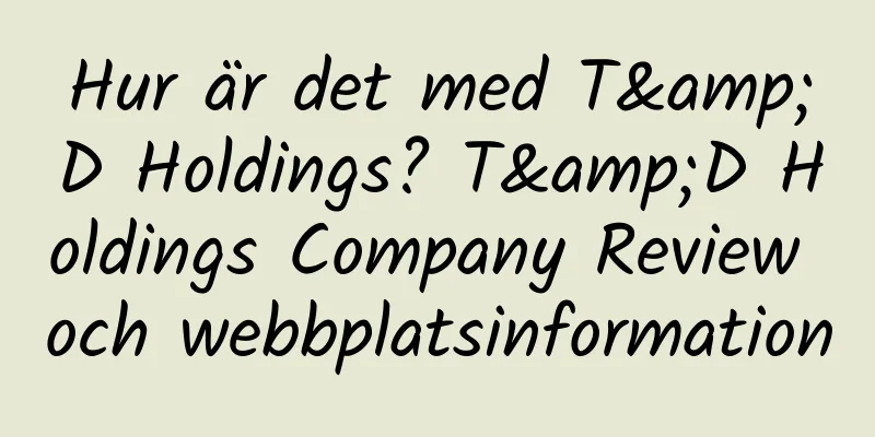 Hur är det med T&D Holdings? T&D Holdings Company Review och webbplatsinformation