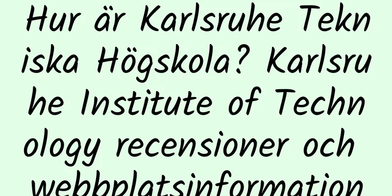 Hur är Karlsruhe Tekniska Högskola? Karlsruhe Institute of Technology recensioner och webbplatsinformation