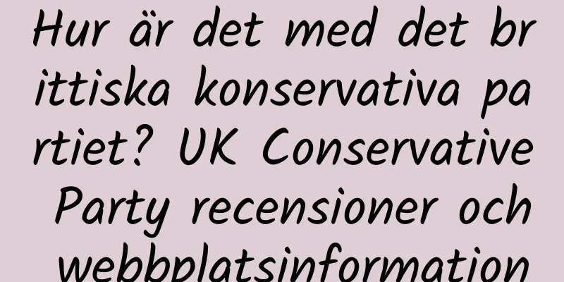 Hur är det med det brittiska konservativa partiet? UK Conservative Party recensioner och webbplatsinformation