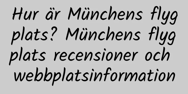 Hur är Münchens flygplats? Münchens flygplats recensioner och webbplatsinformation
