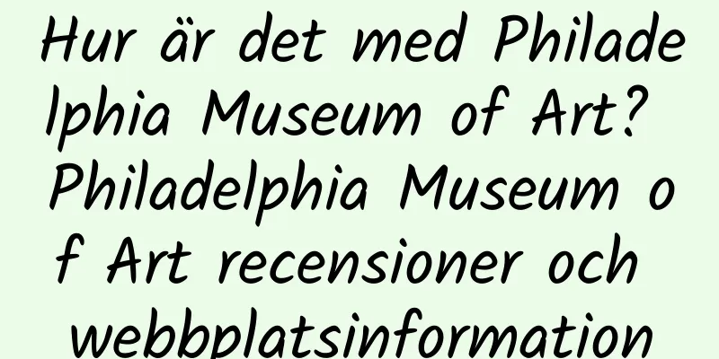 Hur är det med Philadelphia Museum of Art? Philadelphia Museum of Art recensioner och webbplatsinformation