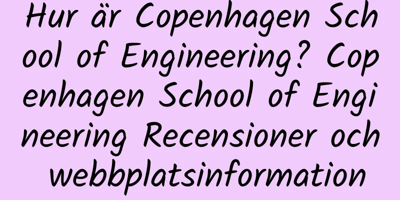 Hur är Copenhagen School of Engineering? Copenhagen School of Engineering Recensioner och webbplatsinformation