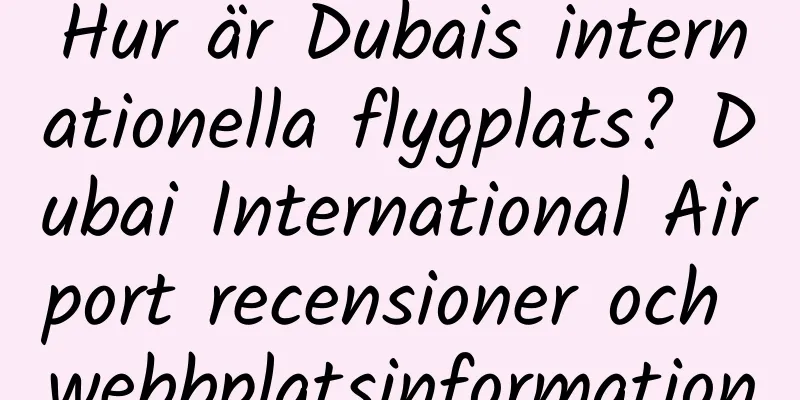 Hur är Dubais internationella flygplats? Dubai International Airport recensioner och webbplatsinformation