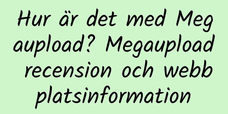 Hur är det med Megaupload? Megaupload recension och webbplatsinformation